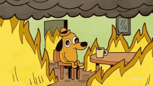 this is fine,consequence,trump,presidency