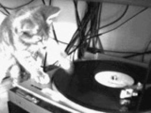 dj,turntable,cat,record,lolcat,been almost a year,i miss that happy feeling