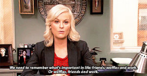 parks and recreation,amy poehler,leslie knope,parks,3x13