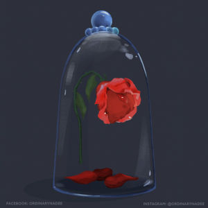 rose,beauty and the beast,petals,magic,flower,love,disney,glass,ordinarynadee,a rose