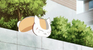nyanko sensei,neko,anime cat,art,cat,anime,kawaii,natsumes book of friends,madara cat