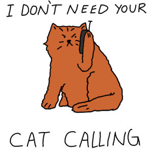 cats,cat,kitten,cat calling