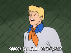 fred,shaggy,scooby doo,animation,television,vintage,cartoon,get ahold of yourself