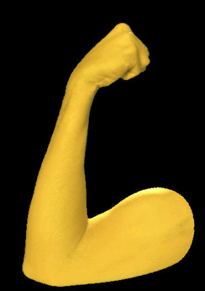 emoji,transparent,muscle,strong,arm,strength,gym,fitness,workout,bicep,swole,gym rat