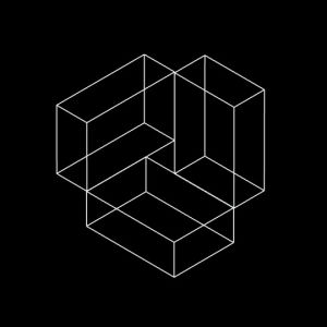 geometry,3d,motion design,optical art,wireframe,tao,op art,trapcodetao,orthographic,trapcode,xponentialdesign,perpective,math arts,art,after effects