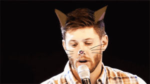 jensen ackles,misha collins with cat ears,supernatural,misha collins,spn,misha cat,jensen cat,jensen with cat ears,misha mimimi