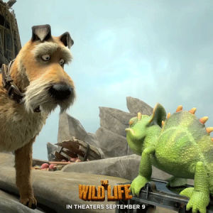 funny,animation,movie,dog,lol,attention,chameleon,the wild life,wild life,carmello