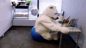 polar bear,animals,fail,office,oops,mondays,professional,fall over