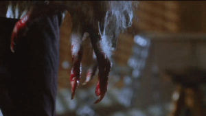 werewolf,the howling,horror,halloween,1981,joe dante