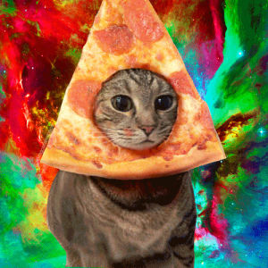 psychedelic,cat,trippy,space,pizza,majestic,pop punk
