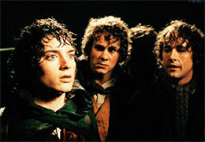frodo,sam,the lord of the rings,merry,fellowship of the ring,pippin,barliman