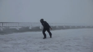 Гифка ветер вашингтон миль в час гиф картинка, скачать анимированный ...