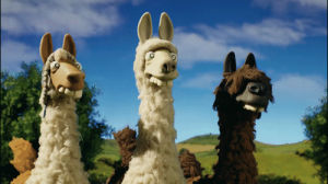 llama,aardman,shaun the sheep,llama drama,farmers llamas,shaunthesheep,llamadrama,animation,trance