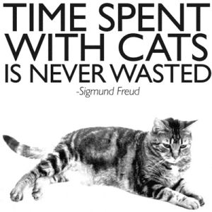 sigmund freud,cat,cats,wisdom,words to live by