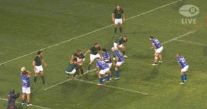 samoan,move,rugby,highlight