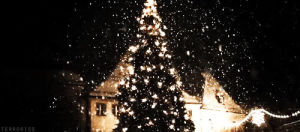 christmas,merry christmas,christmas lights,christmas tree,xmas,winter,snow,follow