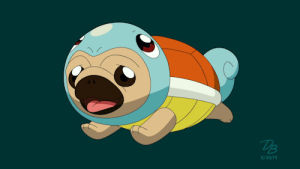 squirtle,pug