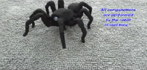robot,spider