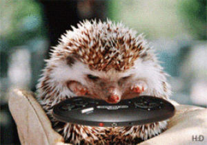 playing,sonic,hedgehog