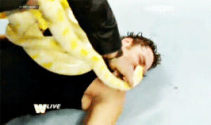 dean ambrose,wwe,wrestling,one more time