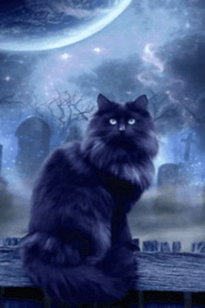 download,gothic,screensavers,mobile,cat,mobile9