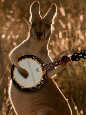 kangaroo,banjo