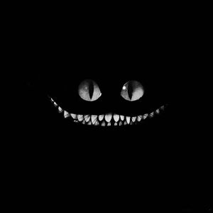 dark,black and white,disney,chesire cat,macabre,alice in wonderland,creepy