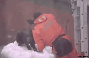 dog,ice,rescue,fisherman