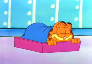 garfield,maudit,meowru,saturday,garfield and friends,request,working from home,i would like a cat nap