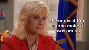 leslie knope,parks and recreation,amy poehler