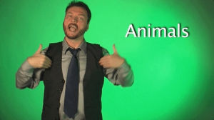 sign with robert,sign language,animals,deaf,american sign language,swr