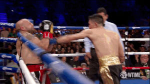 punch,boxing,ko,punching,knockout,tko,leo santa cruz,boxers