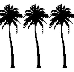 transparent,accessories,palm trees