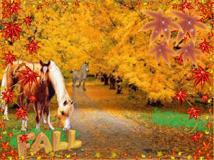 picture,fall,horses