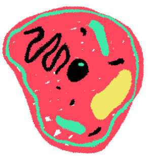 cell,biology,transparent,life,sticker,laurasalaberry,fugu