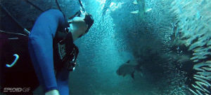 scuba diving,teleportation,cool,diving,water,ocean,fish,looks,tunnel
