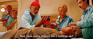 the life aquatic with steve zissou,wes anderson