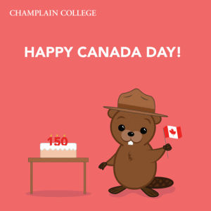 canada day,canada,beaver,red and white