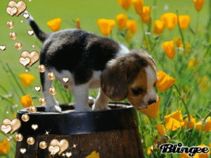 Smelling GIF - Find on GIFER