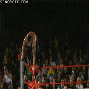 funny,sports,wrestling,ouch,fails,mondays