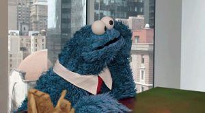 patience,waiting,cookie monster