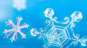 freeze,snowflake,blue,ice,tela