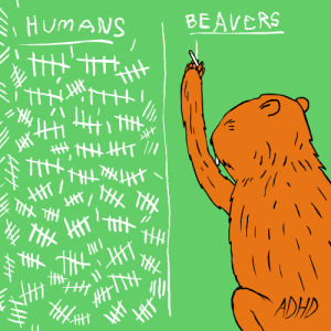 beaver,animation,lol,fun,animals,news,death,cartoons,foxadhd,kill,jeremy sengly,animation domination high def,current events,teleivision