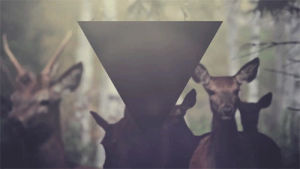indie,deer,triangle