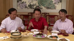 chinese food,chi,eat,peking duck,dinner,roast duck