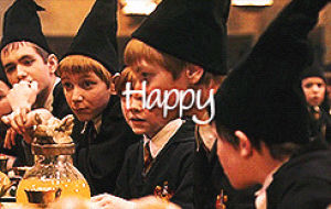 harry potter birthday,fire,harry,birthday,george,potter,stone,order,phoenix,oliver,weasley,phelps,goblet,bertiesbotts