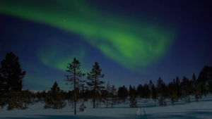trees,northern lights,snow,aurora borealis,nature,cinemagraph,living stills