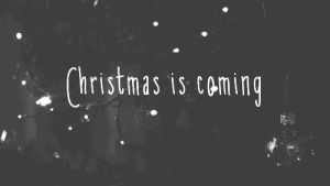 christmas,christmas tree,quotes,christmas is coming,december,love,lights,quote,tree,november,january,is,new years eve,coming,christmas lights,cant wait,fairy lights,christmas quotes