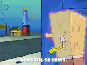 spongebob squarepants,picture day,season 5,episode 13