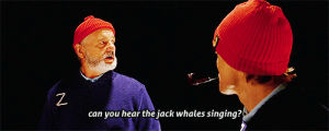 wes anderson,the life aquatic with steve zissou